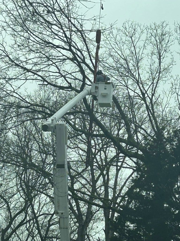 Bucket truck used for tree trimming