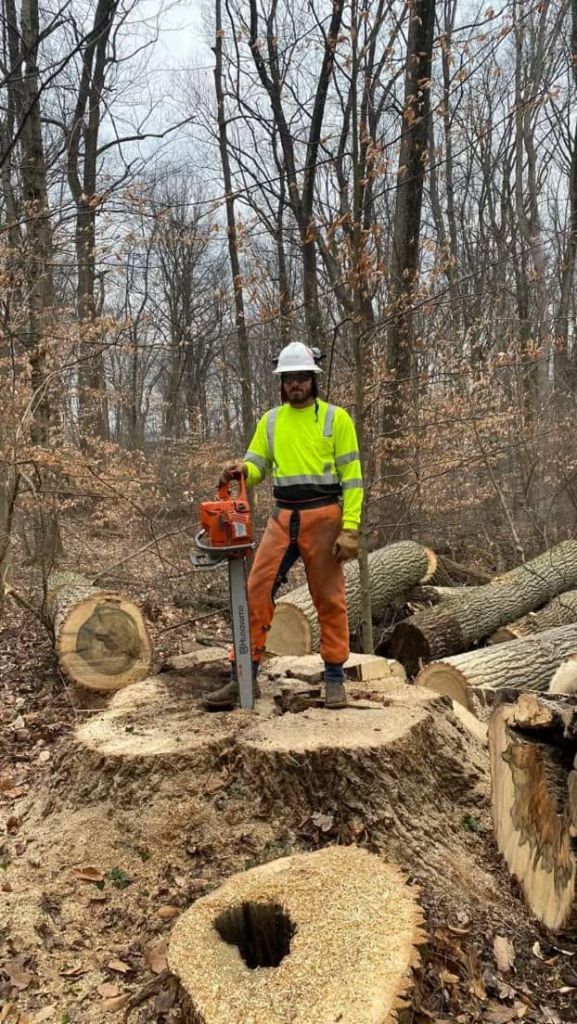 Garrison's Tree Service crew member cutting a large tree trunk section with a chainsaw
