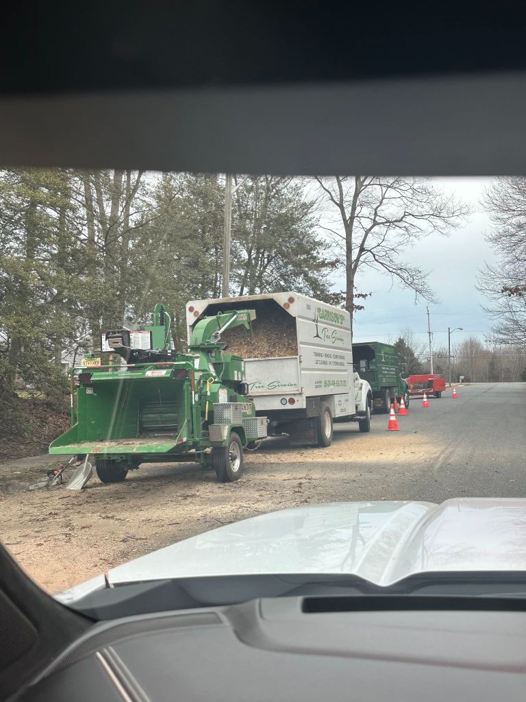 Storm debris and brush cleanup by Garrison's Tree Service