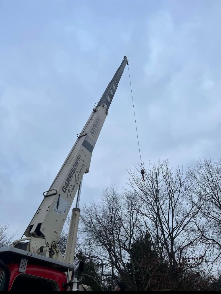 Garrison's Tree Service crane boom and hook extended against the sky