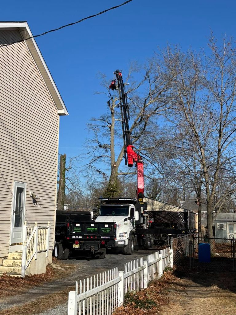 Tree service crew working in Moorestown NJ