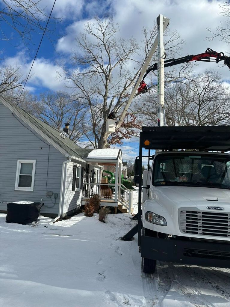 Tree service crew working in Voorhees Township NJ
