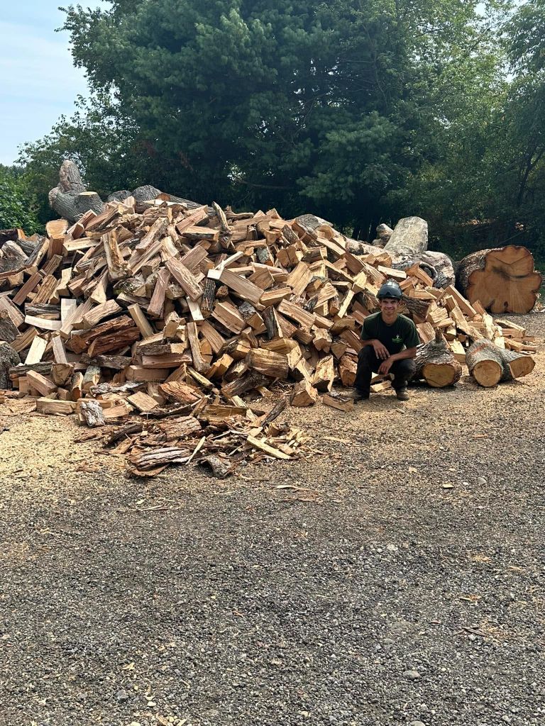 Garrison's Tree Service crew member next to a large pile of split firewood