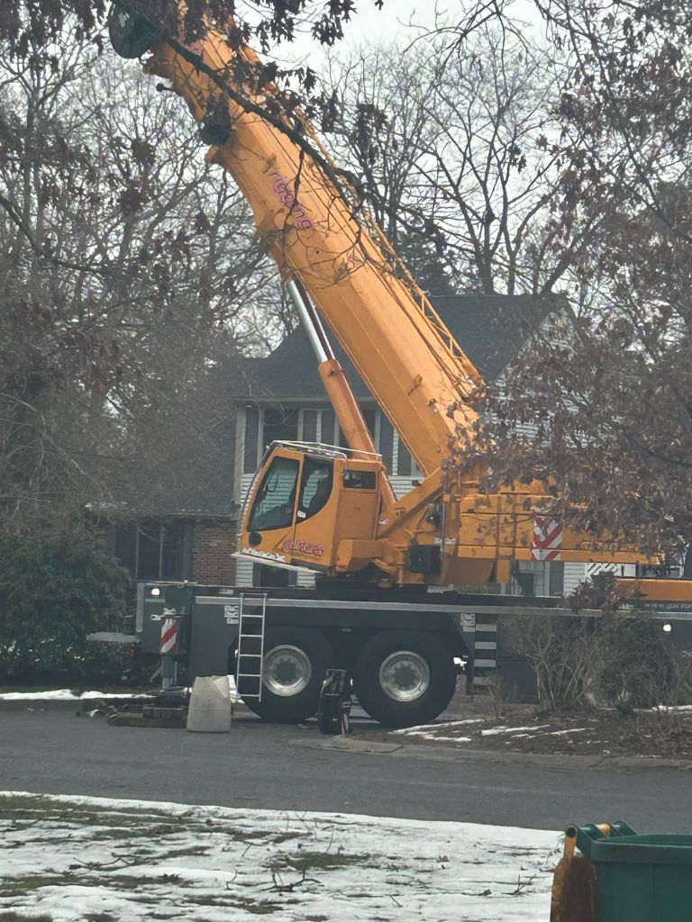 Large yellow crane truck positioned for tree removal