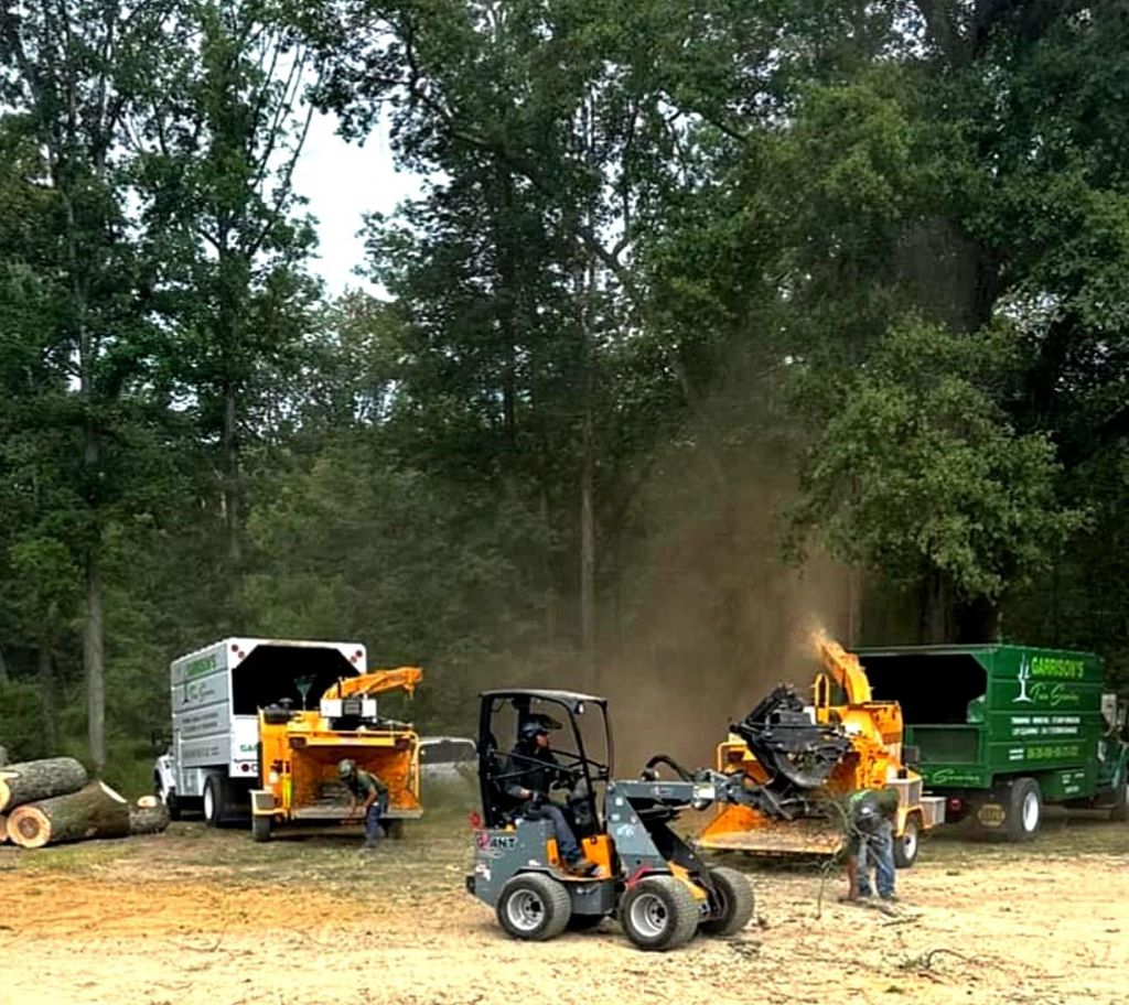 Mini skid loader feeding tree debris into a wood chipper