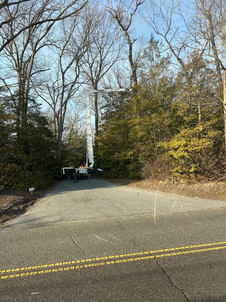 Tree service crew working in Upper Deerfield Township NJ
