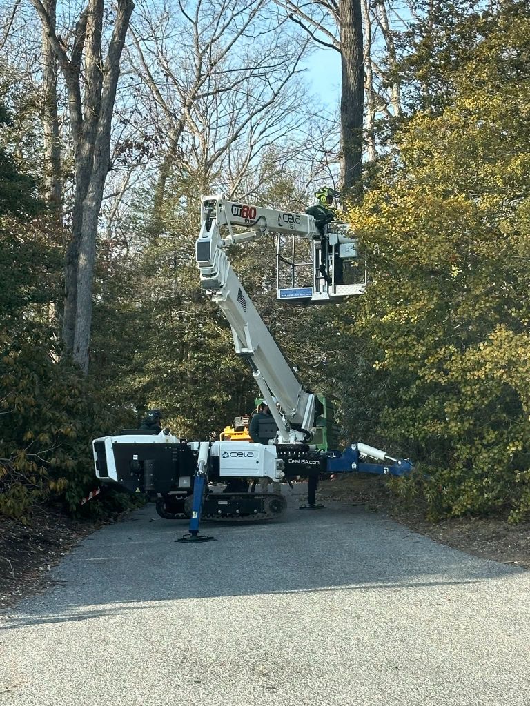Spider lift access equipment working in a wooded area
