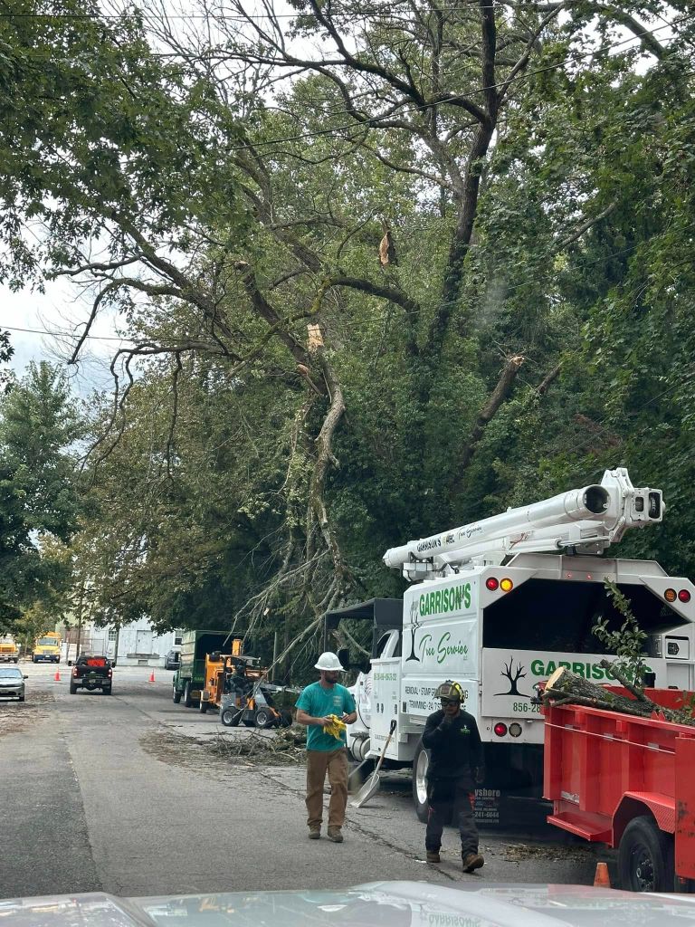 Garrison's Tree Service crew clearing storm damaged tree limbs from a street