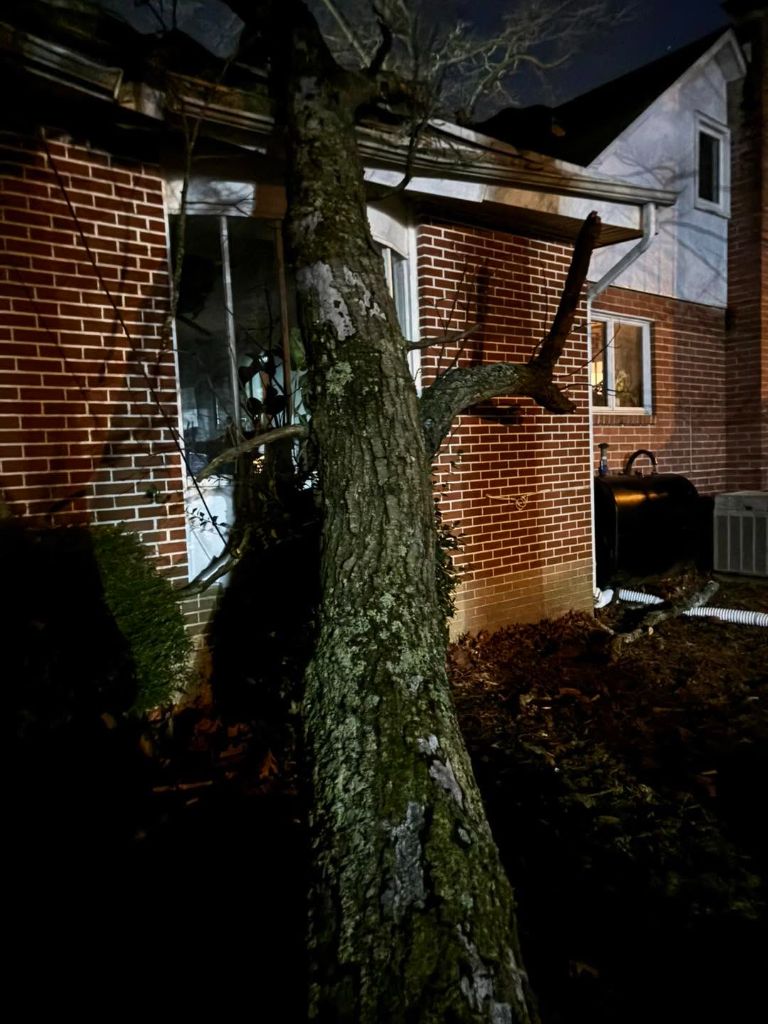 Fallen tree leaning against a brick house at night, emergency response
