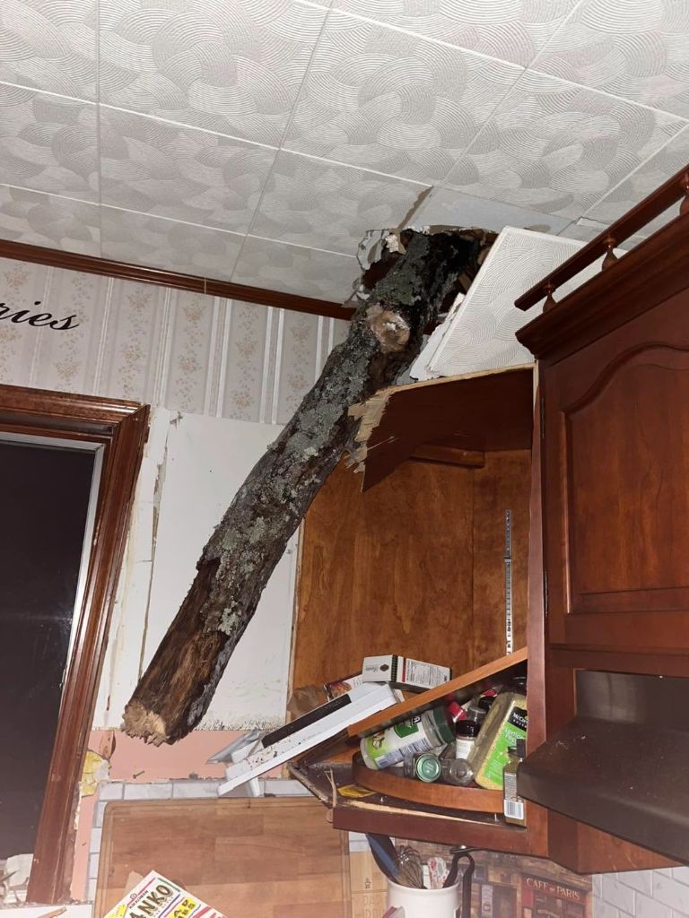 Tree limb that fell through a home's ceiling during a storm