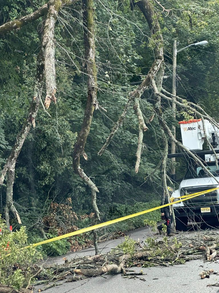 Storm damaged trees blocking a road, crew responding