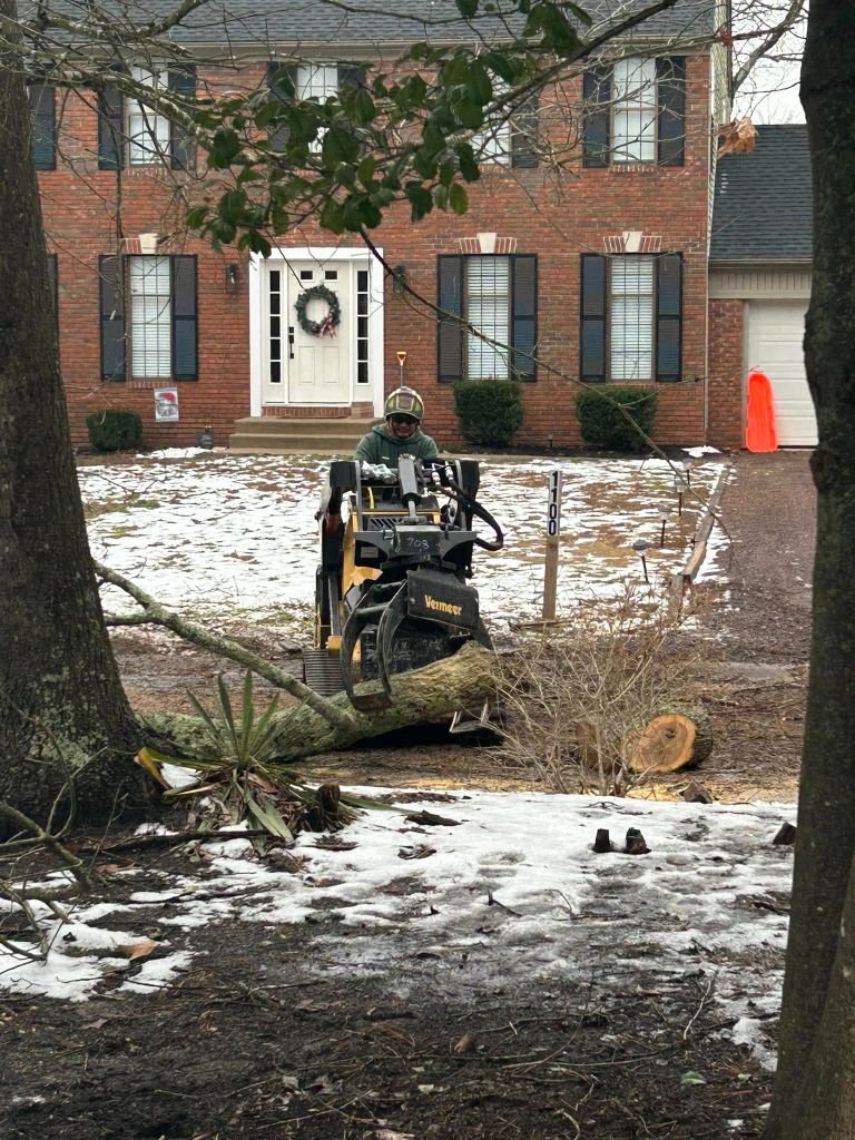 Vermeer stump grinder clearing a tree stump in a residential yard
